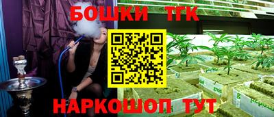 МДПВ Дубна