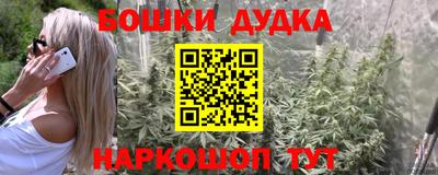 МДПВ Дубна