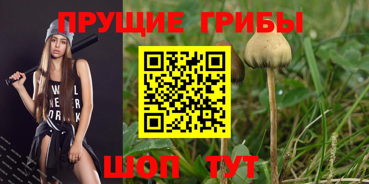 Галлюциногенные грибы Magic Shrooms  Вход с VPN  Медногорск 